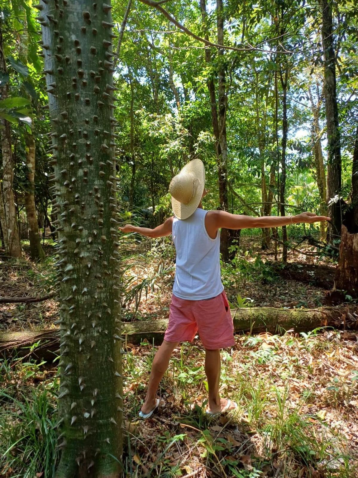 מלון מוסקיירו Eco Sitio O Labirinto Do Fauno מראה חיצוני תמונה