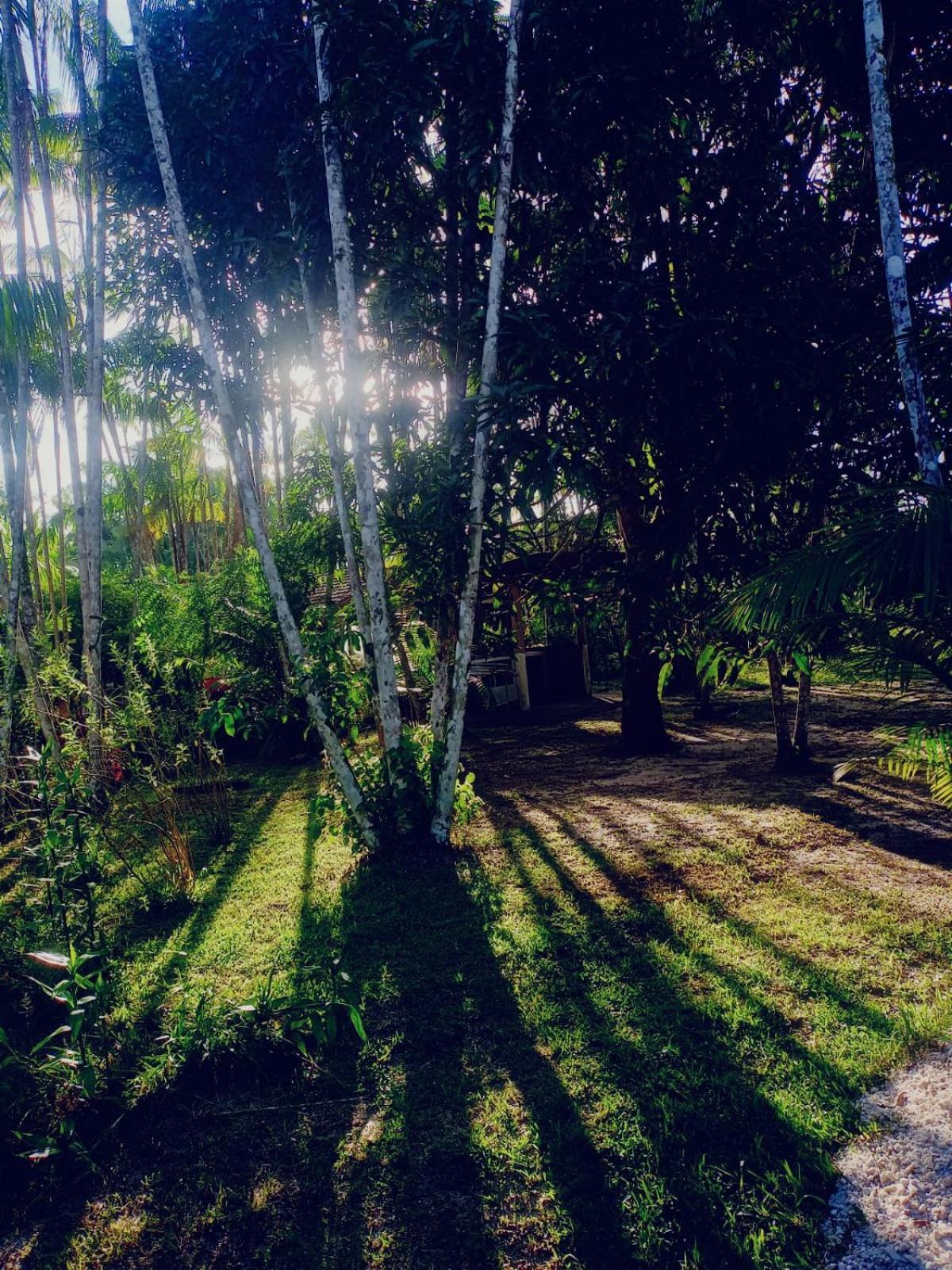 מלון מוסקיירו Eco Sitio O Labirinto Do Fauno מראה חיצוני תמונה